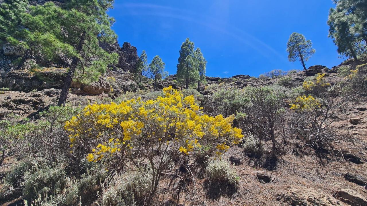 Puerto Rico Teide And Amadores View Apartment