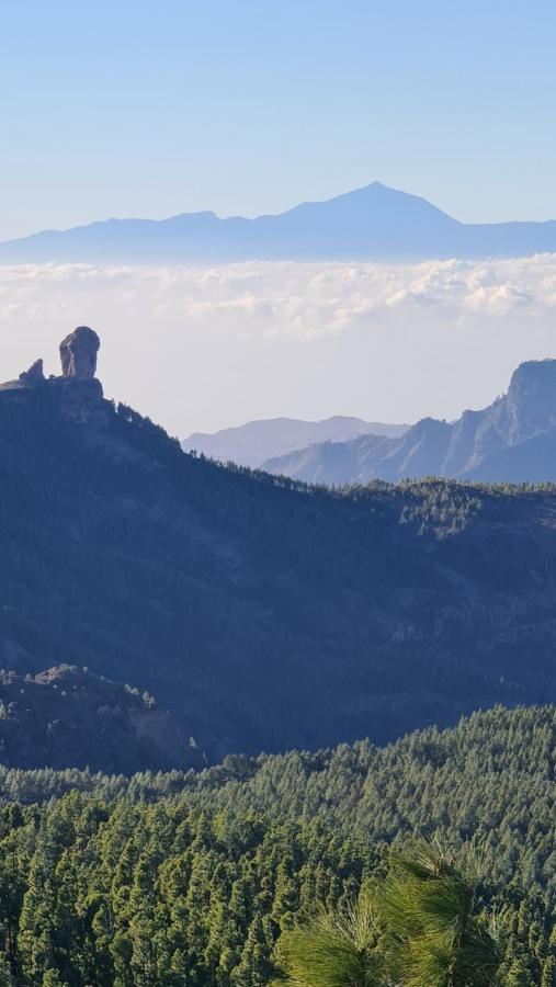 Puerto Rico Teide And Amadores View Apartment *
